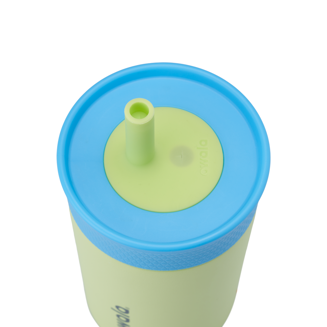 Lid_Feature_Turtley_Awesome