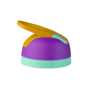 Replacement Lids(Flip)